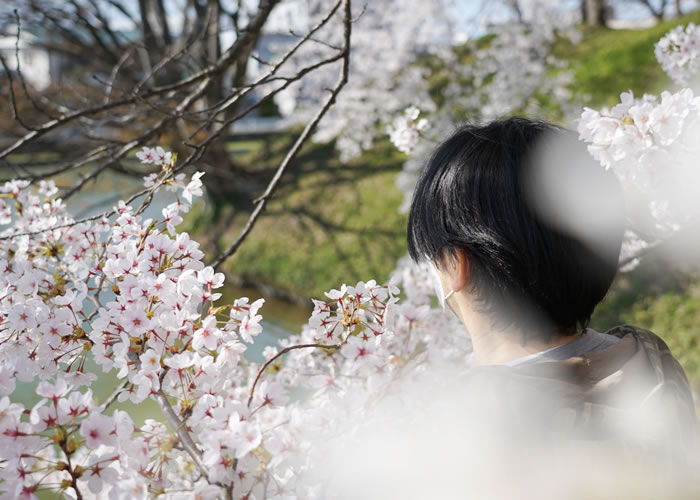 f:id:yuriika7:20210510182049j:plain