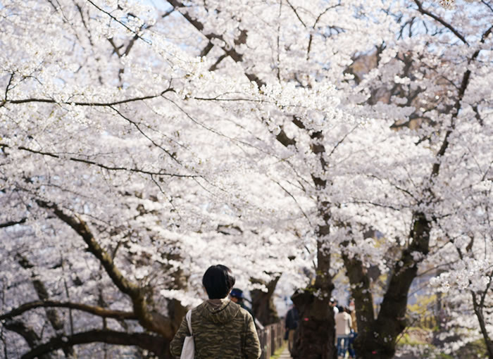 f:id:yuriika7:20210510182238j:plain