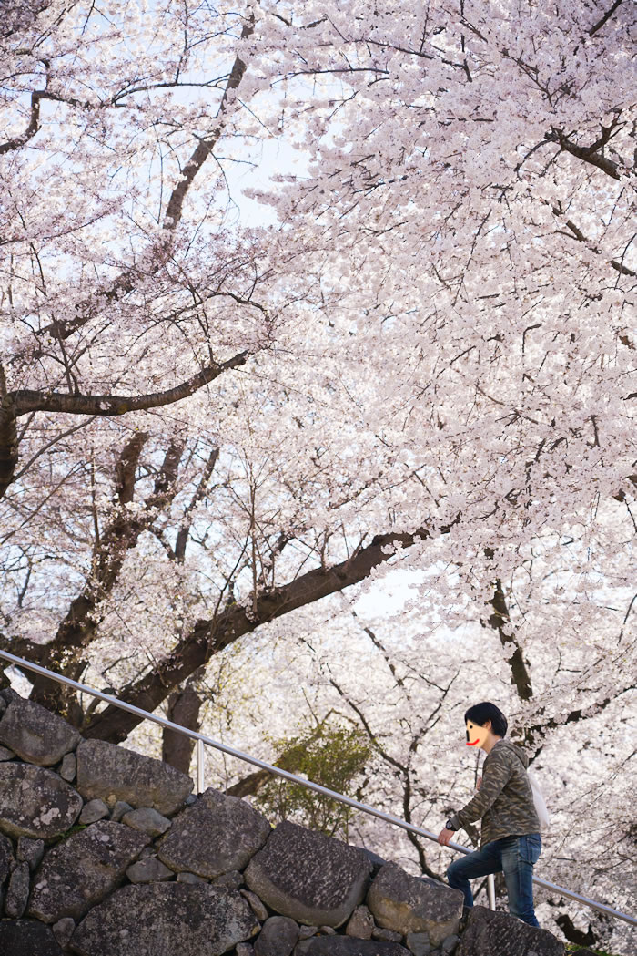 f:id:yuriika7:20210510182628j:plain