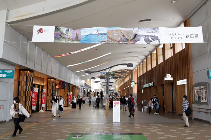 f:id:yuriika7:20210607195523j:plain