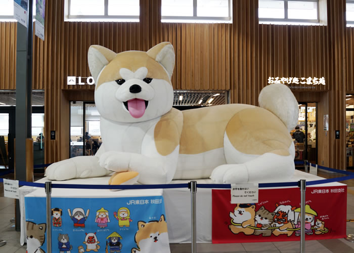 f:id:yuriika7:20210607195532j:plain