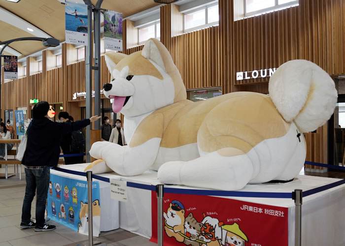 f:id:yuriika7:20210607195544j:plain