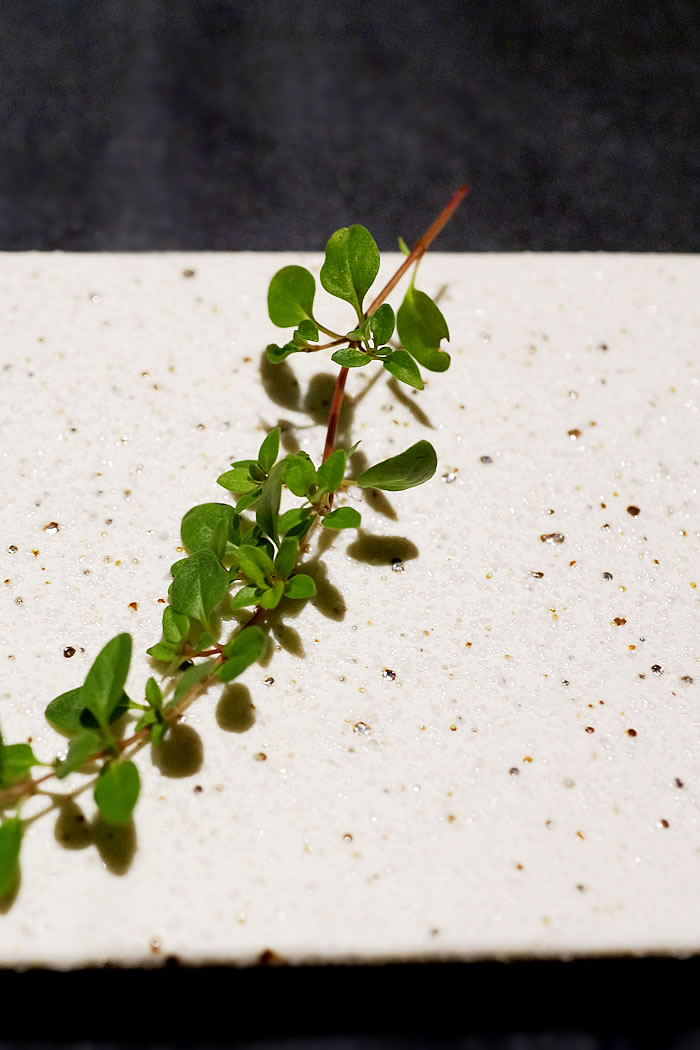 f:id:yuriika7:20211001094534j:plain