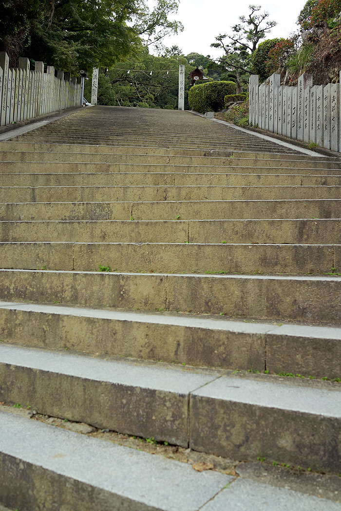 f:id:yuriika7:20211027175128j:plain