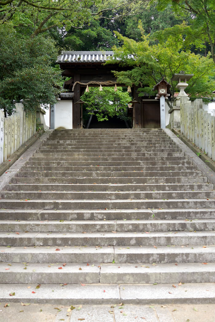 f:id:yuriika7:20211027175135j:plain