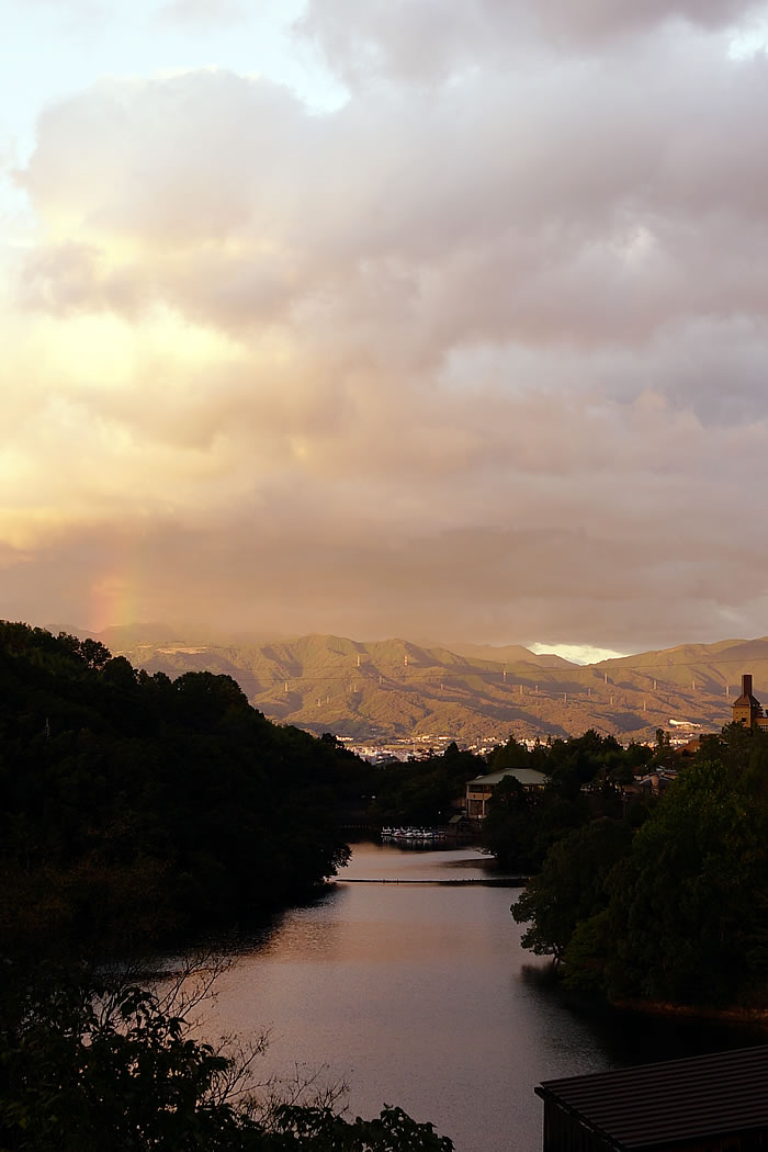 f:id:yuriika7:20211125205250j:plain