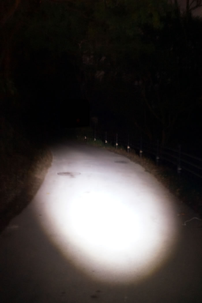 f:id:yuriika7:20211125205611j:plain