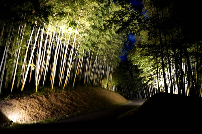 f:id:yuriika7:20211125205618j:plain