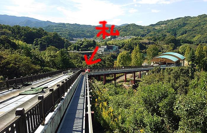 f:id:yuriika7:20211203162310j:plain