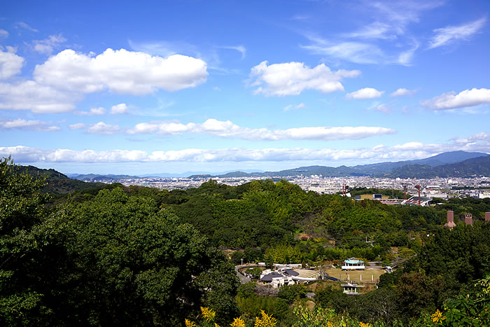 f:id:yuriika7:20211203162319j:plain