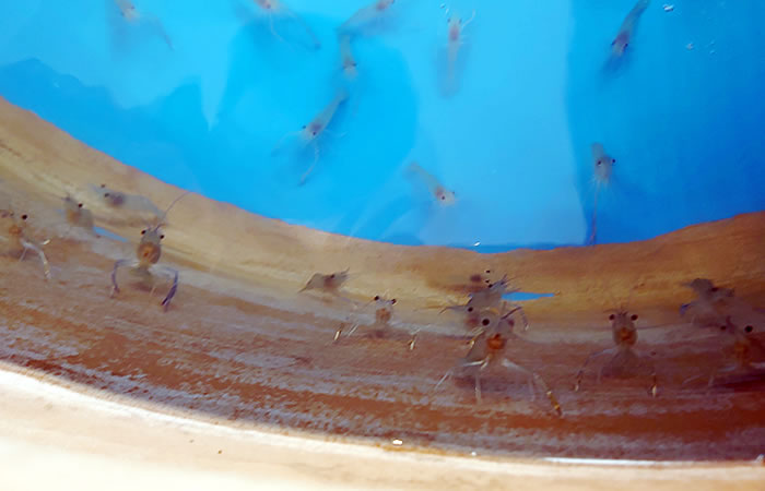 f:id:yuriika7:20220114170915j:plain