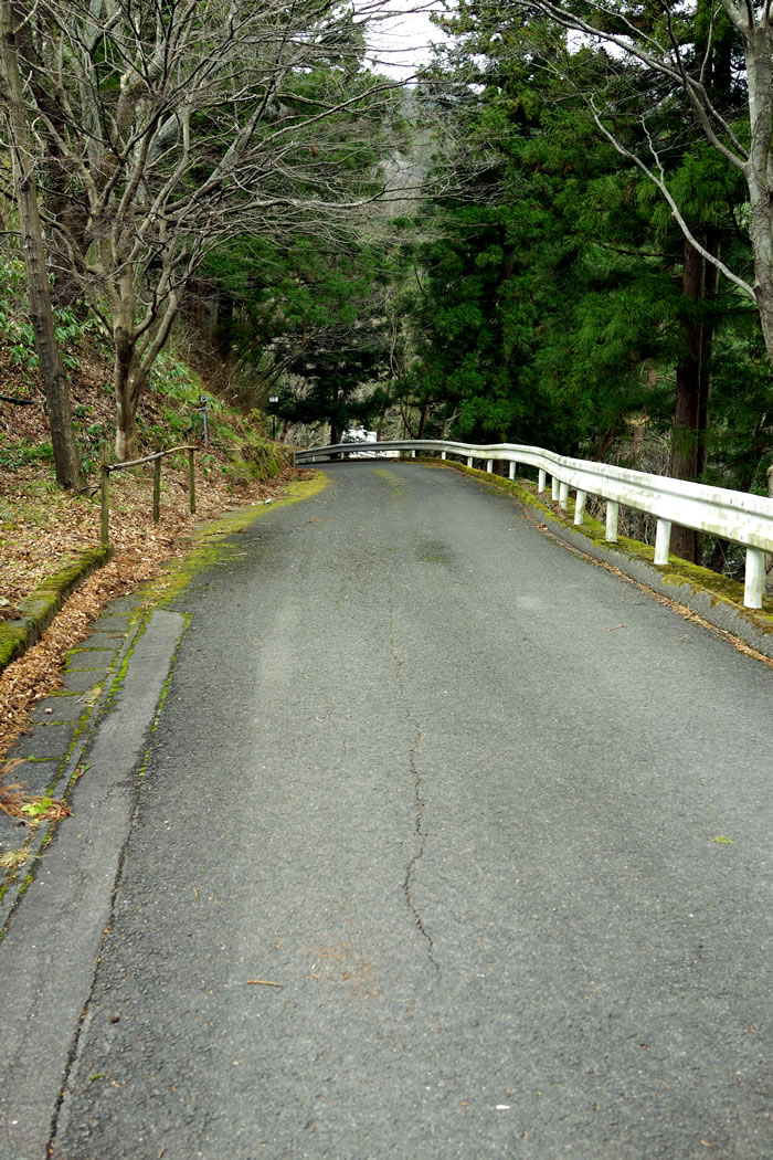 f:id:yuriika7:20220114171005j:plain