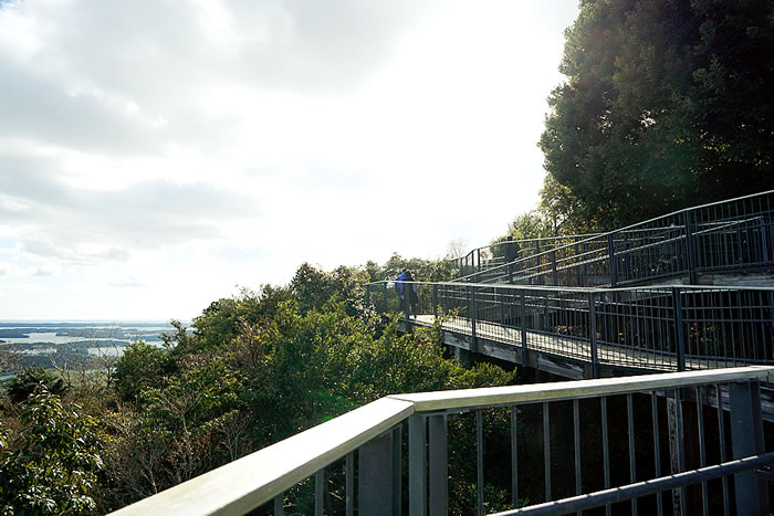 f:id:yuriika7:20220407173213j:plain