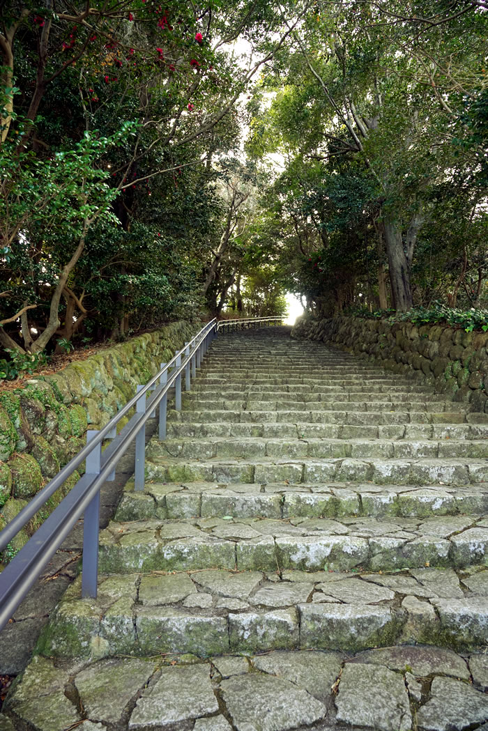 f:id:yuriika7:20220407173226j:plain