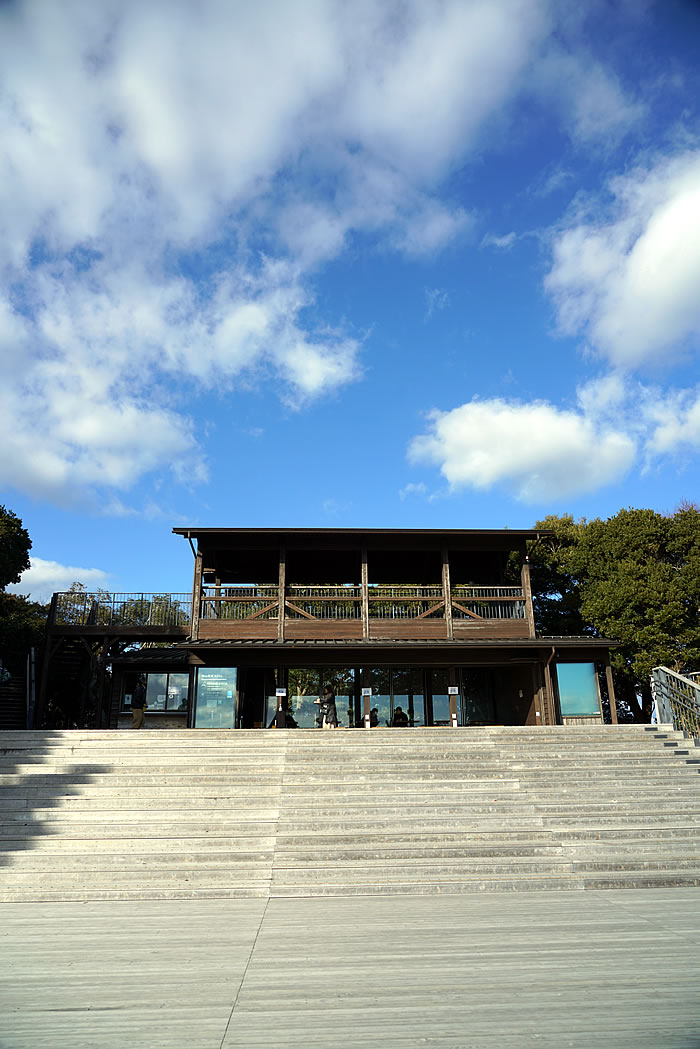 f:id:yuriika7:20220407173235j:plain