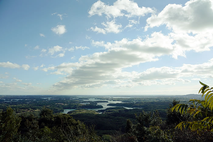 f:id:yuriika7:20220407173256j:plain