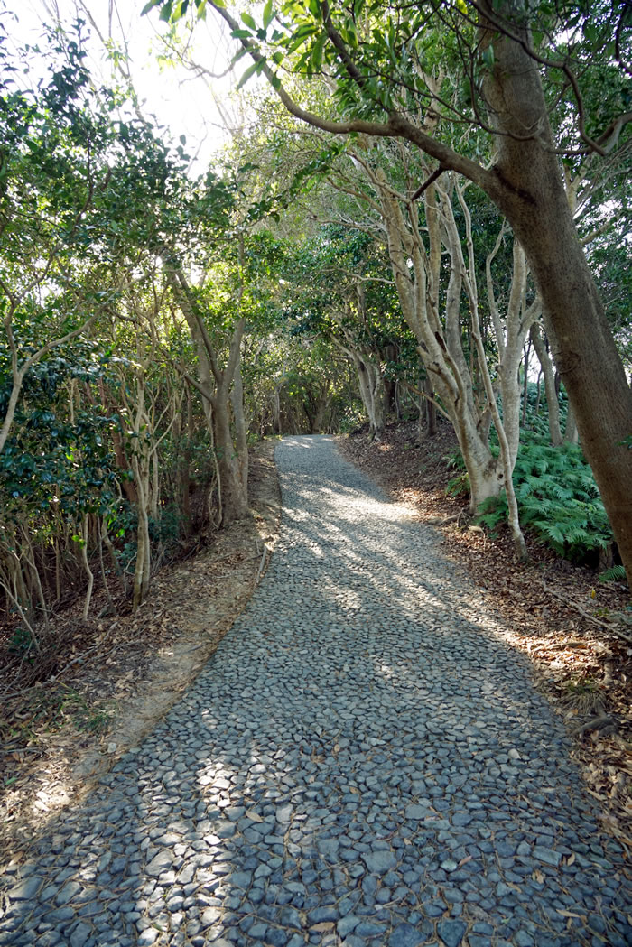 f:id:yuriika7:20220407173322j:plain