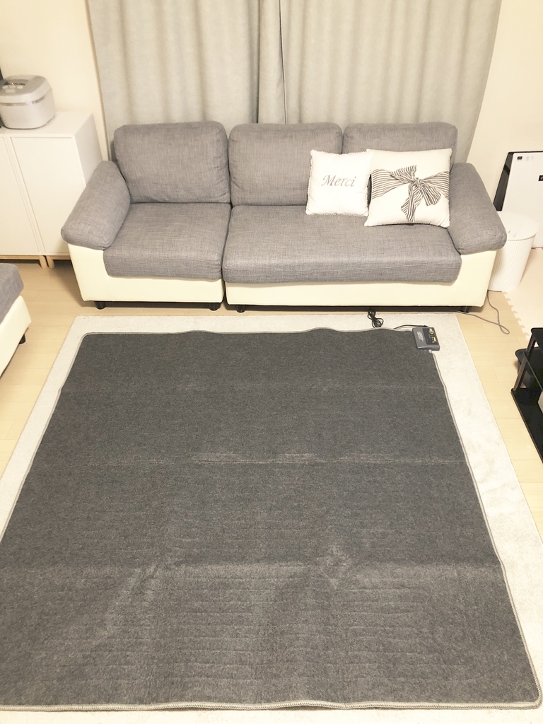 電気代節約のために電気カーペットを購入！暖房器具の電気代比べてみました - #ゆりらぼ