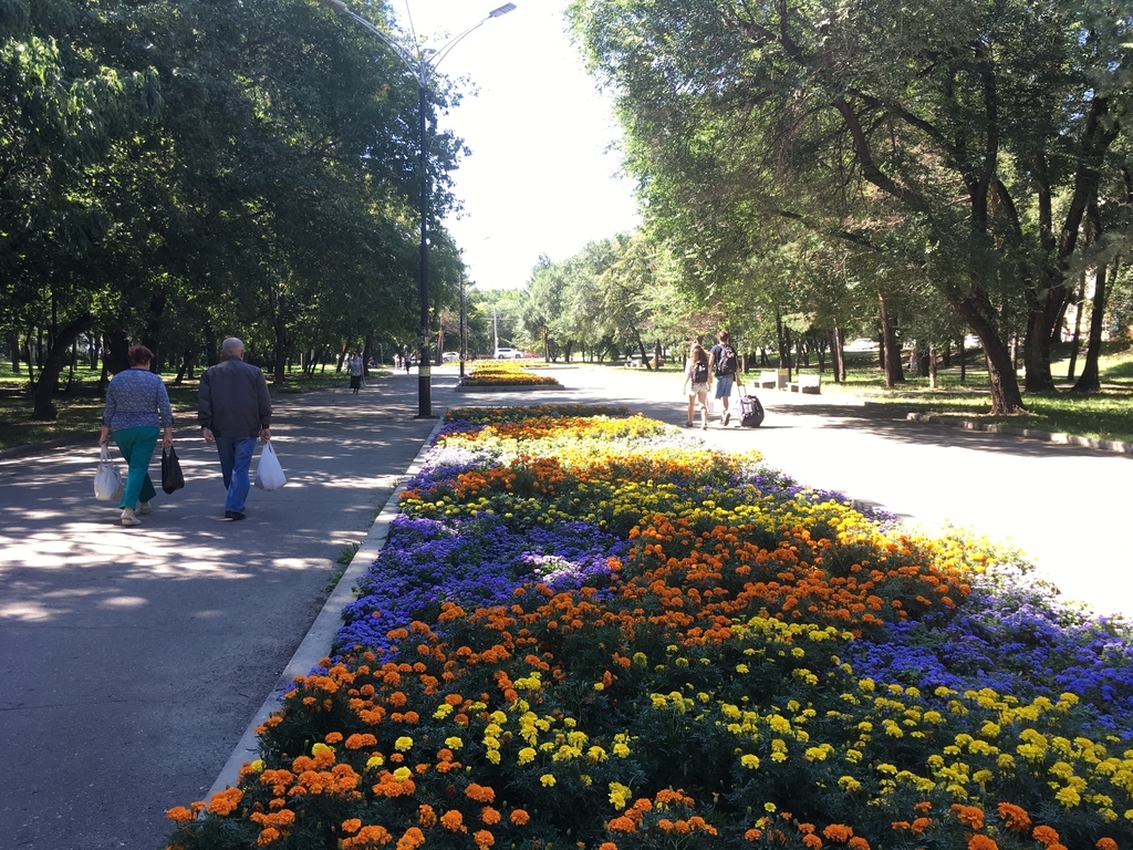 f:id:yurikalilio:20181120231748j:plain f:id:yurikalilio:20181120231748j:plain