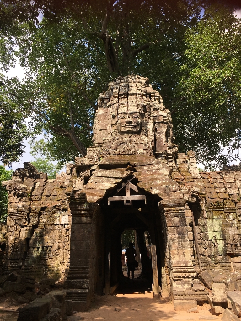 f:id:yurikalilio:20190112101223j:plain f:id:yurikalilio:20190112101223j:plain