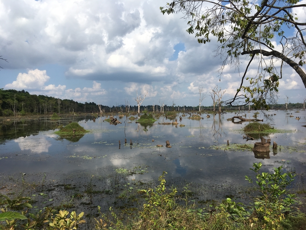 f:id:yurikalilio:20190112102319j:plain f:id:yurikalilio:20190112102319j:plain