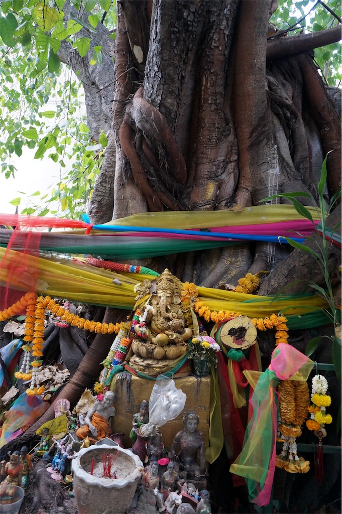 f:id:yurikalilio:20190212210406j:image