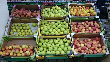 f:id:yurikazunopapa:20160211111925j:plain