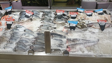 f:id:yurikazunopapa:20160211112137j:plain