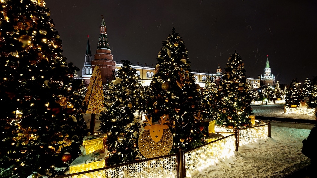 f:id:yurikazunopapa:20191127111413j:plain