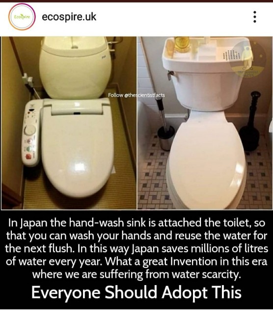 f:id:yurikoyade:20190616150234j:image