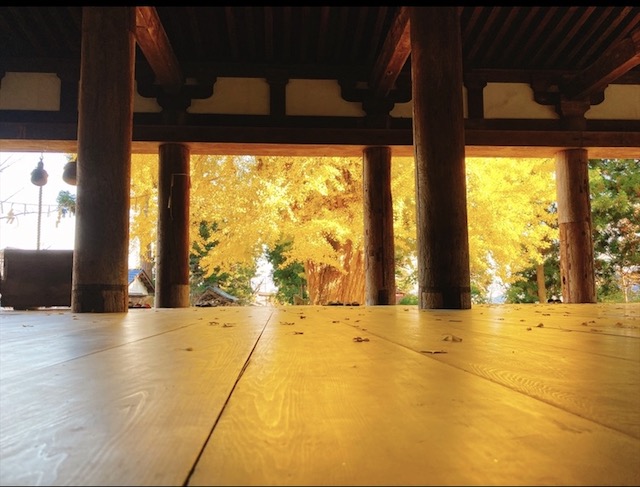 f:id:yurimare:20201123110304j:plain