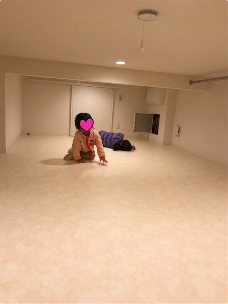 f:id:yurimaripapa:20180617222820j:image f:id:yurimaripapa:20180617222820j:image