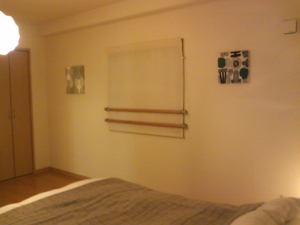 f:id:yurin1968:20101228225301j:image