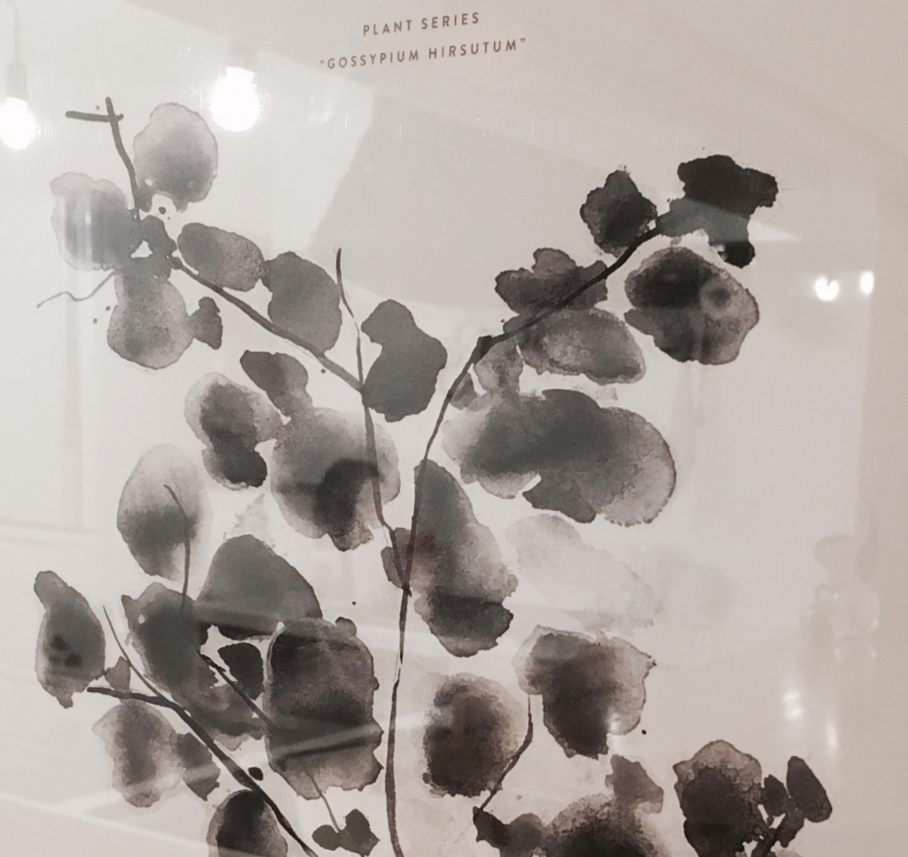 f:id:yurin1968:20160802202421j:plain:w400