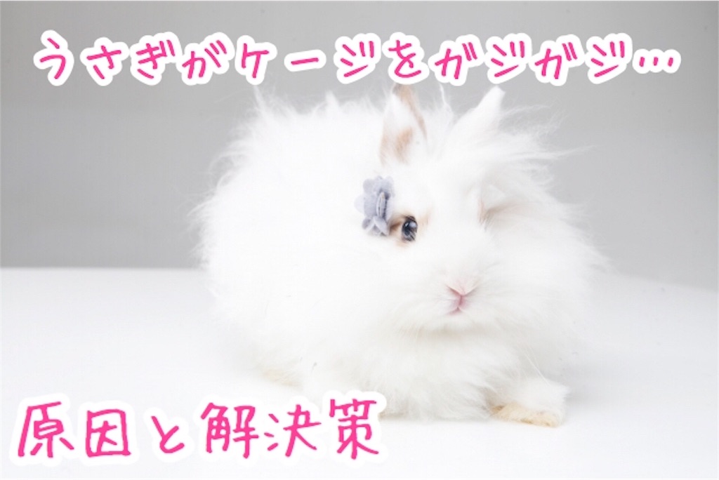 f:id:yurina12:20191225124712j:image f:id:yurina12:20191225124712j:image