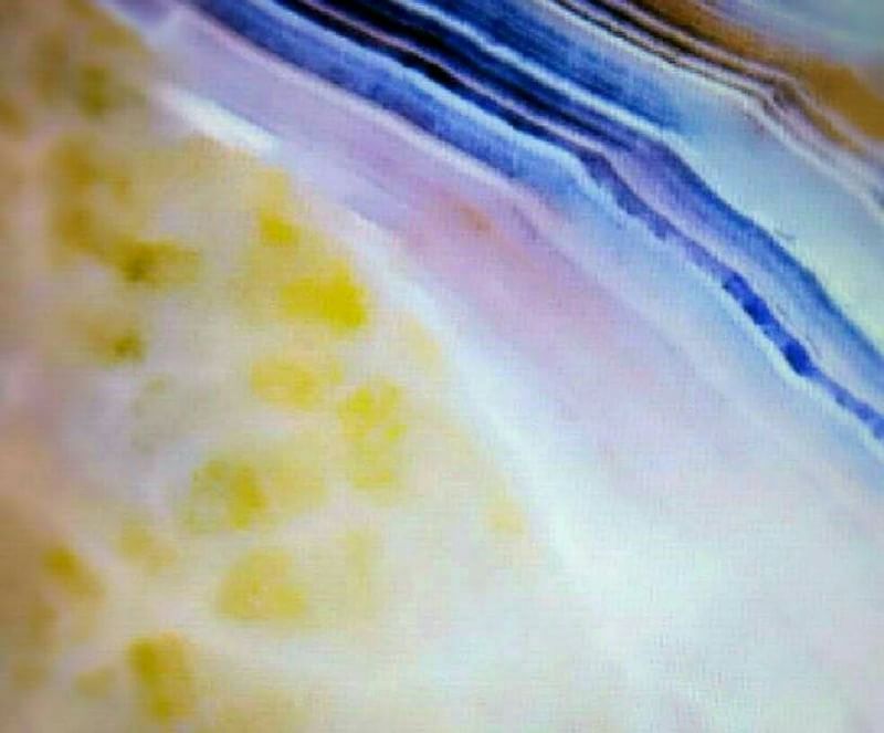 f:id:yurina2018:20190510012636j:plain f:id:yurina2018:20190510012636j:plain