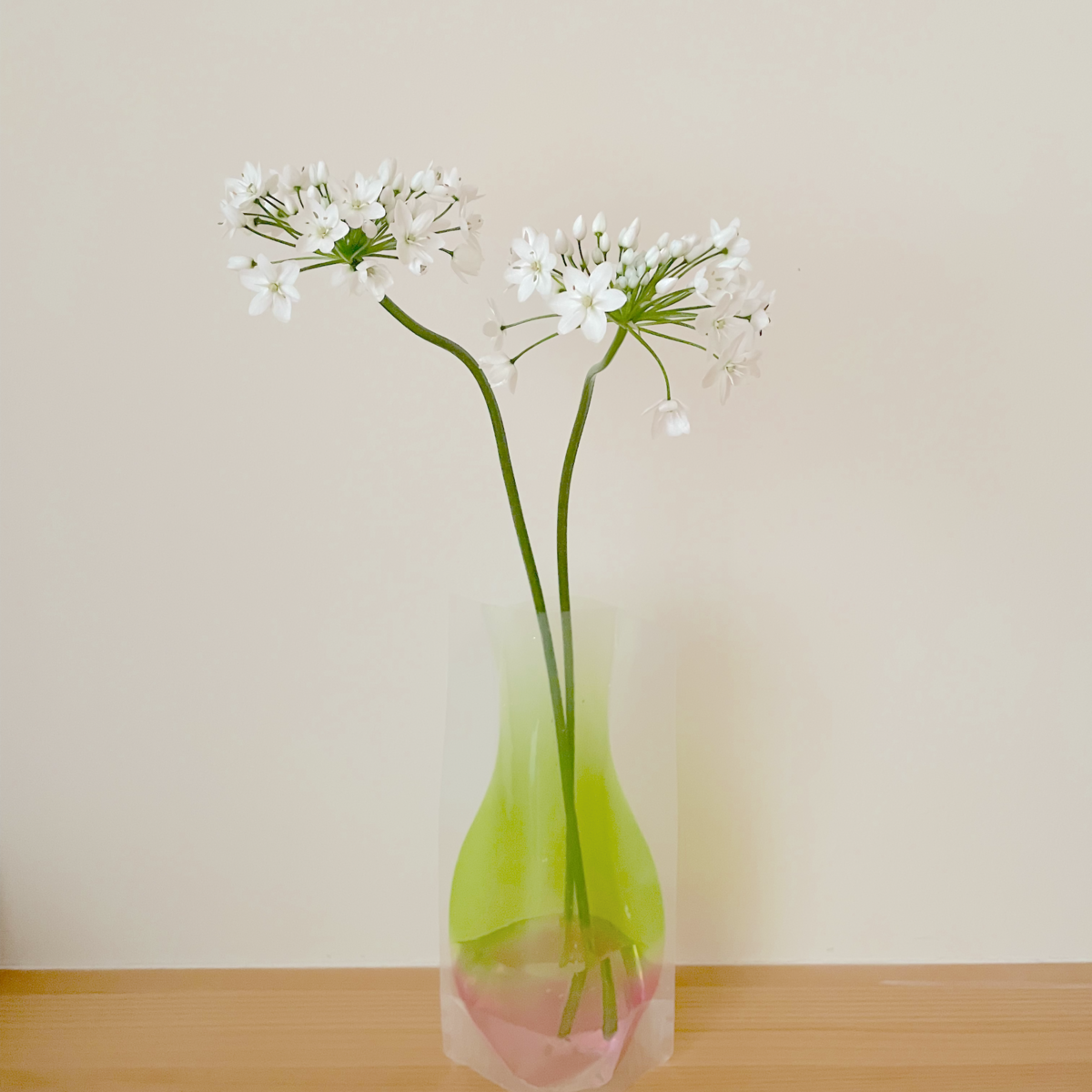 断捨離ラリック花瓶 飾ってました 高さ20㎝弱 一輪挿しにも 少しの束の