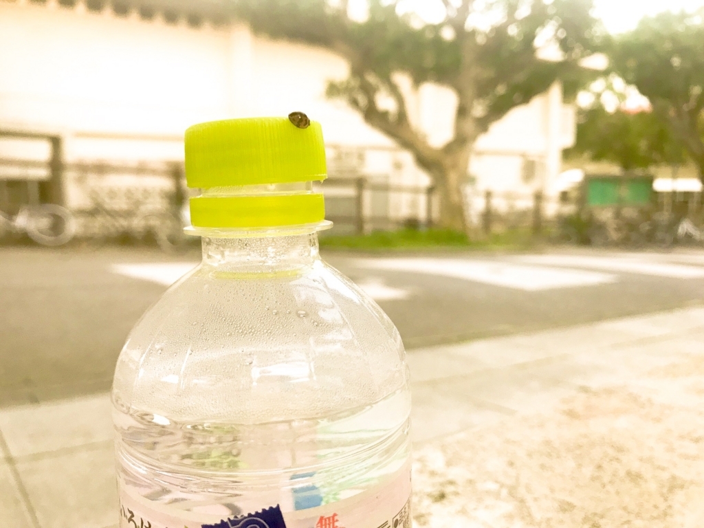 f:id:yuririn1008:20180428085056j:plain f:id:yuririn1008:20180428085056j:plain