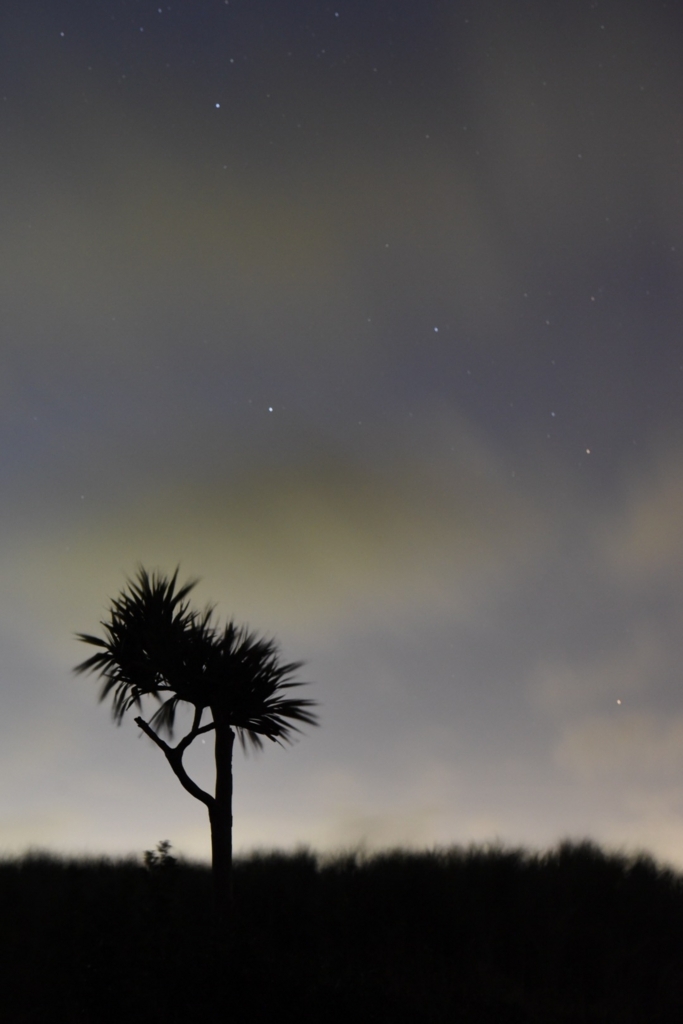 f:id:yuririn1008:20180819002652j:plain