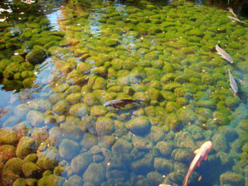 f:id:yurisato:20081208002115j:image f:id:yurisato:20081208002115j:image