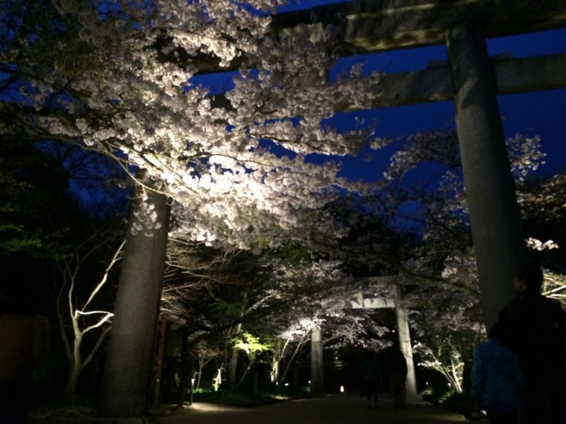 f:id:yurius_r:20150404010908j:image
