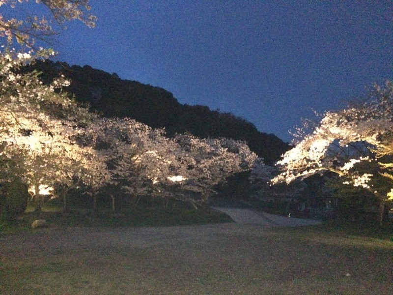 f:id:yurius_r:20150404010910j:image
