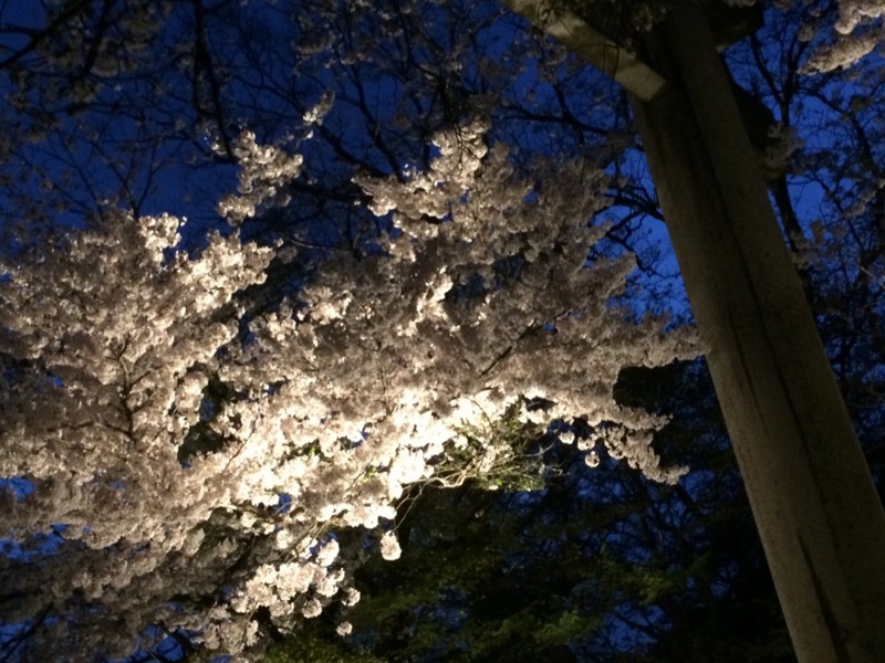 f:id:yurius_r:20150404010912j:image