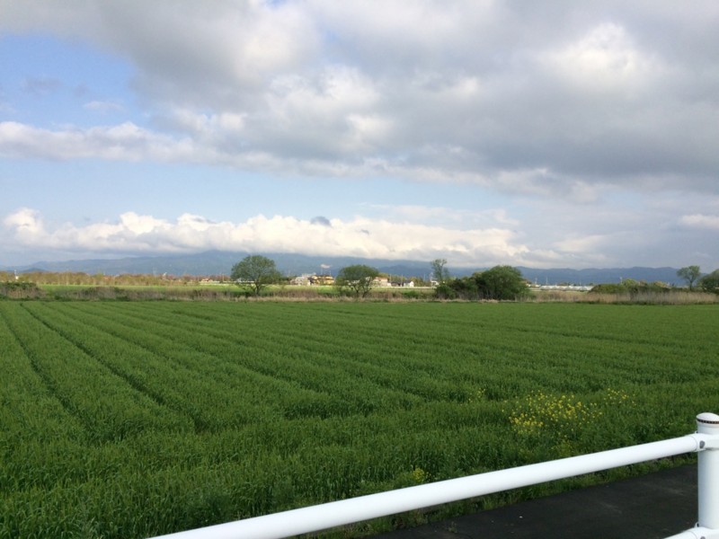 f:id:yurius_r:20150414005126j:image f:id:yurius_r:20150414005126j:image