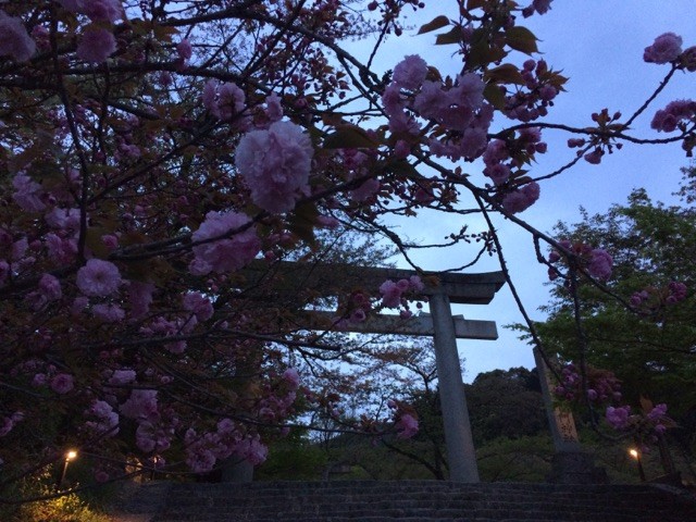 f:id:yurius_r:20150415015033j:image f:id:yurius_r:20150415015033j:image
