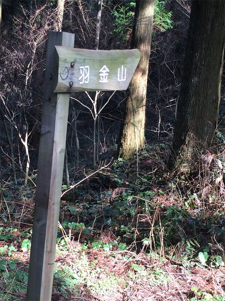 f:id:yurius_r:20160212195947j:image f:id:yurius_r:20160212195947j:image
