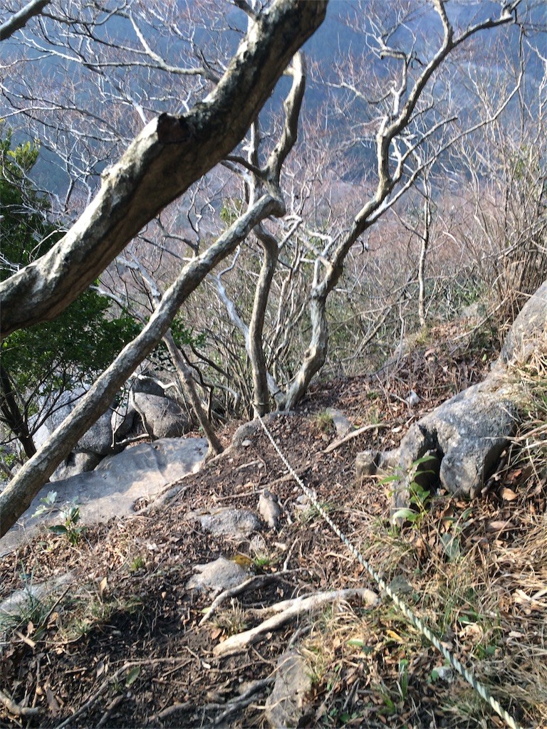 f:id:yurius_r:20160213203812j:image f:id:yurius_r:20160213203812j:image