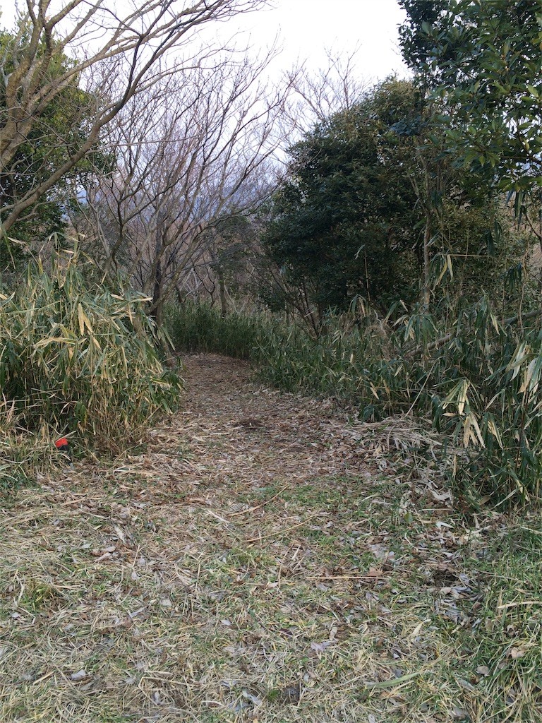 f:id:yurius_r:20160213204755j:image f:id:yurius_r:20160213204755j:image