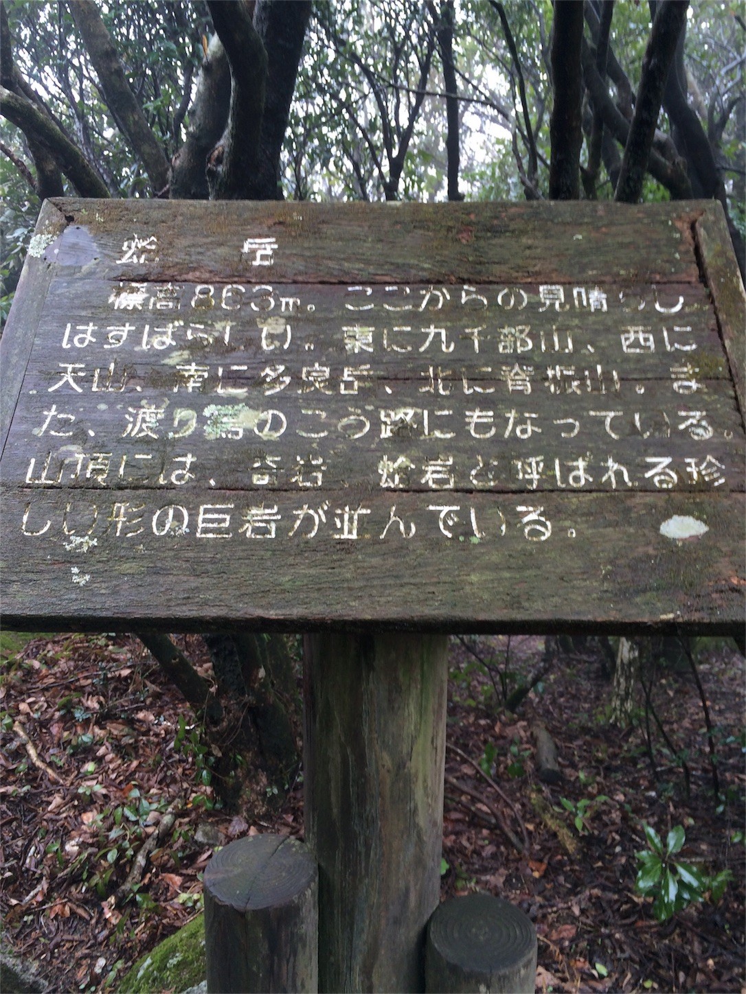 f:id:yurius_r:20160607111311j:image f:id:yurius_r:20160607111311j:image