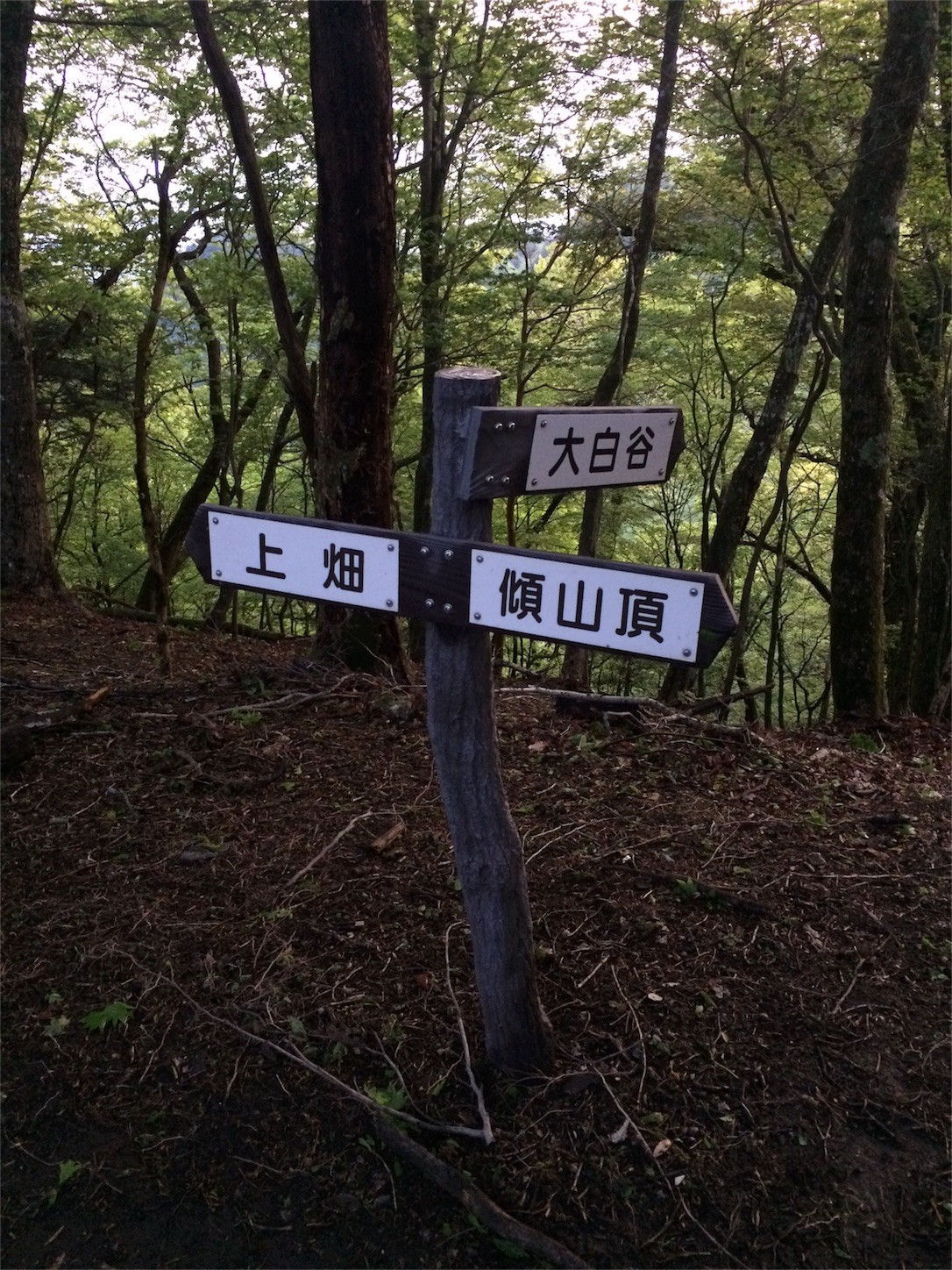 f:id:yurius_r:20160616123216j:image f:id:yurius_r:20160616123216j:image